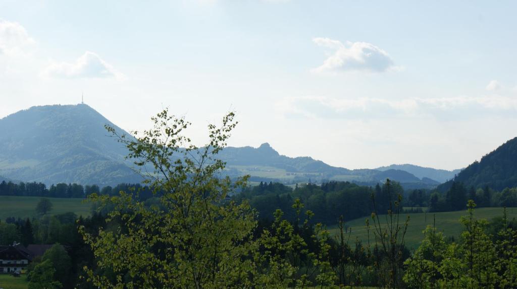 Pension Schierl Faistenau Pokoj fotografie